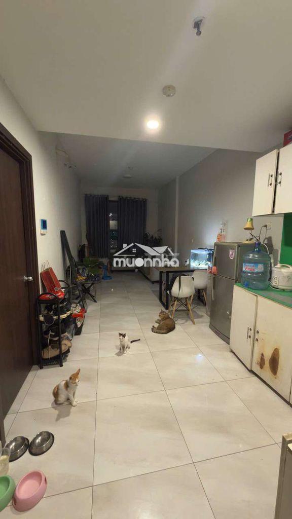 Cho thuê căn hộ picity high park – 1pn+ tầng 9 – căn đẹp, thoáng. - Ảnh 3