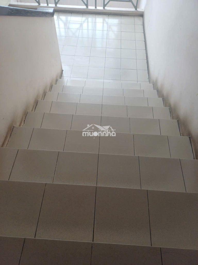 Bán căn hộ bàu cát ii, 2,58 tỷ, 50 m2, 2pn, sổ hồng
