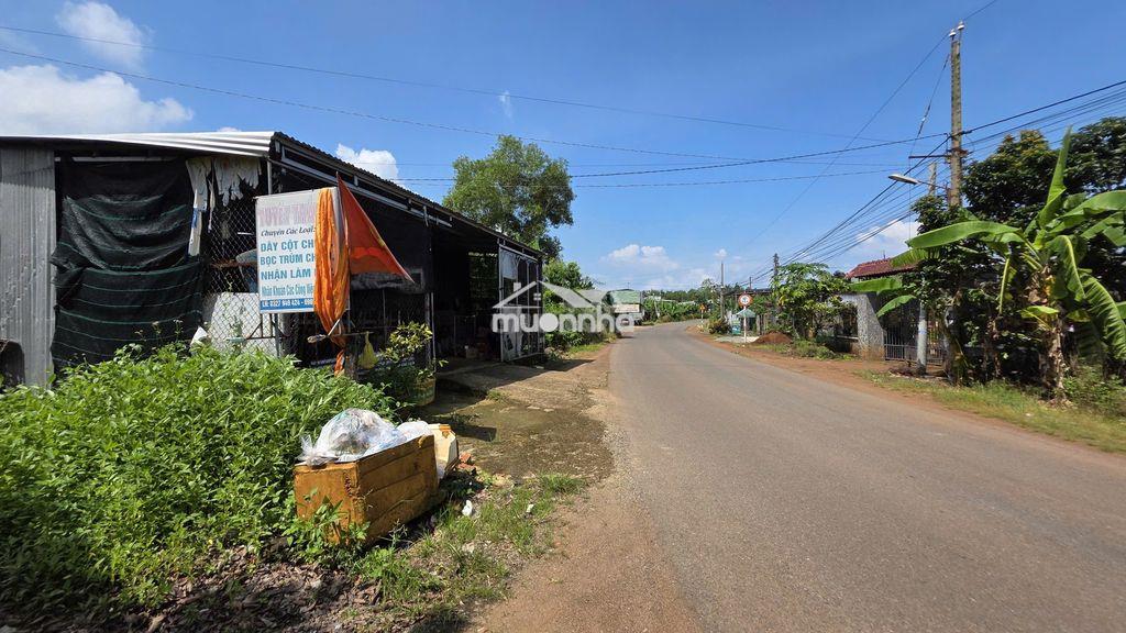 Đất vườn view hồ trị an – cách tp.hcm chưa đến 70km- 4000m2-980 triệu - Ảnh 2