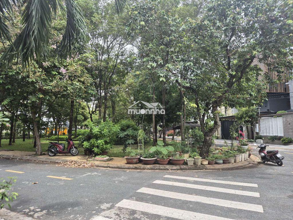 Biệt thự 200m2 1 trệt 2 lầu có hầm xe hơi và sân vườn - 4