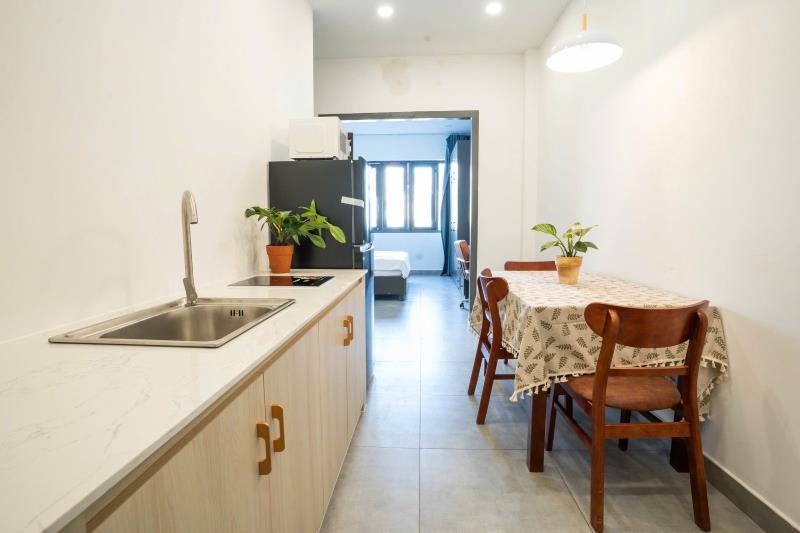 Cho thuê căn hộ cao cấp full nội thất – nguyễn bỉnh khiêm, quận 1