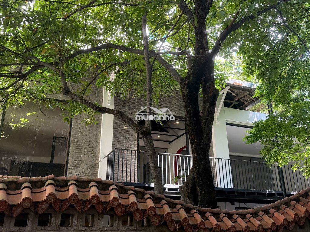Cho thuê nhà hẻm xe hơi đường 151c hai bà trưng – quận 3 - Ảnh 3
