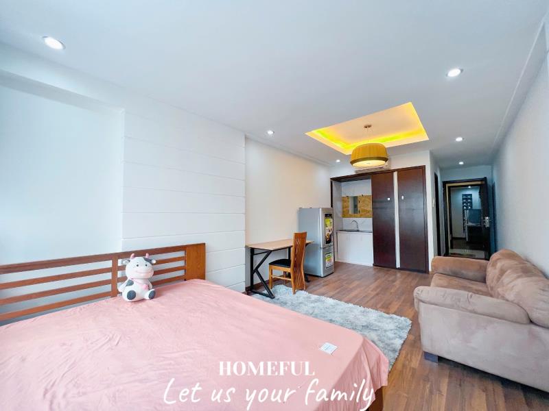 Studio bình giã, gần cầu vượt hoàng hoa thám, trục đường trường chinh, ngã tư bảy hiền - đại học văn hiến - Ảnh 3
