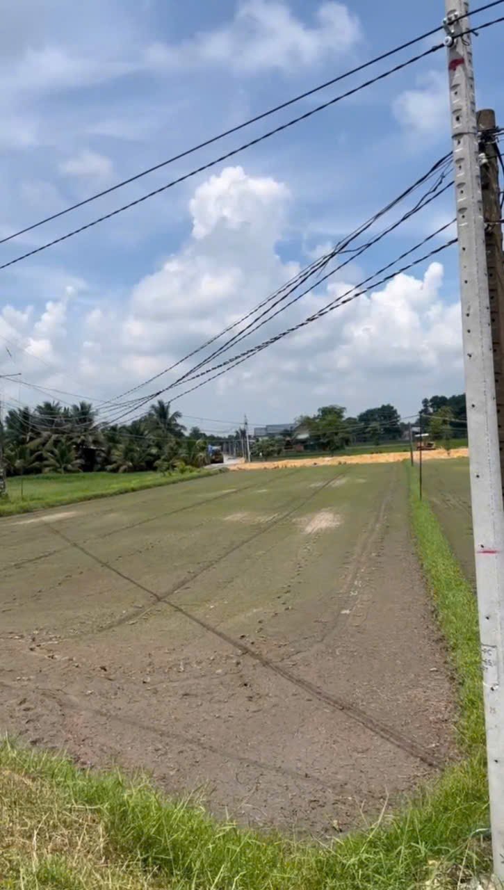 Bán đất 3mt đường hồ chí minh, thị trấn hiệp hòa, đức hòa tdt 2265m2 ( 300m2 thổ) 8,5 tỷ - Ảnh 4