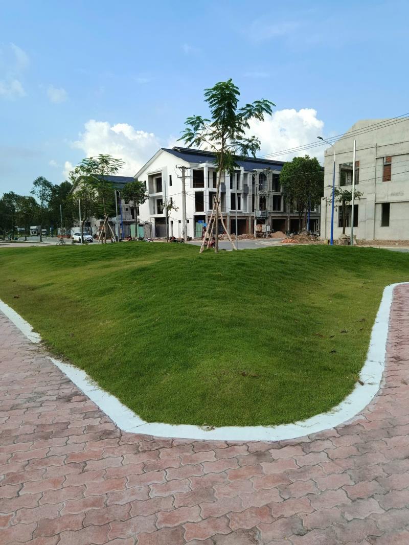 Fiesta central – nhà phố thương mại vị trí đẹp, giá chỉ từ 4,6tỷ/căn 🔥 - Ảnh 2