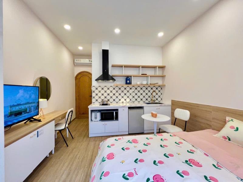 Cho thuê căn hộ quận 1 35m2 full nội thất 7tr/tháng - đề thám - Ảnh 2