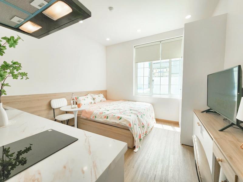 Cho thuê căn hộ quận 1 35m2 full nội thất 7tr/tháng - đề thám - Ảnh 4