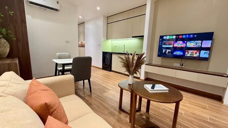 Cho thuê căn hộ 1pn - 45m2 tách bếp thiết kế hiện đại - ngay tại hai bà trưng, quận 3 gần chợ tân định và giáp với quận 1 - Ảnh 3