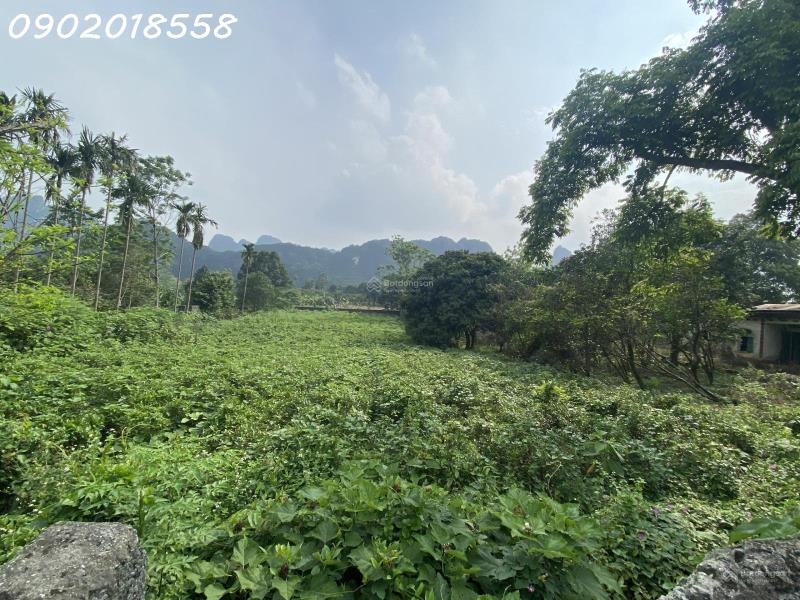 5.000m² đất 2 mặt tiền – gần hà nội, tiềm năng khai thác đa dạng