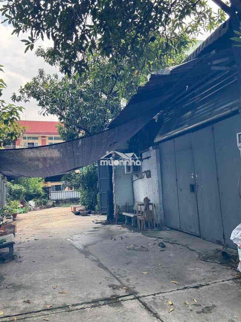 Bán xưởng 250m2 có 80m2 thổ cư đường trần văn mười - Ảnh 2