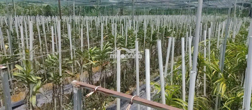 Bán nhà hẽm 4m (xt) bùi thị ngọn, x. an nhơn tây, h. củ chi, 22 tỷ - Ảnh 2