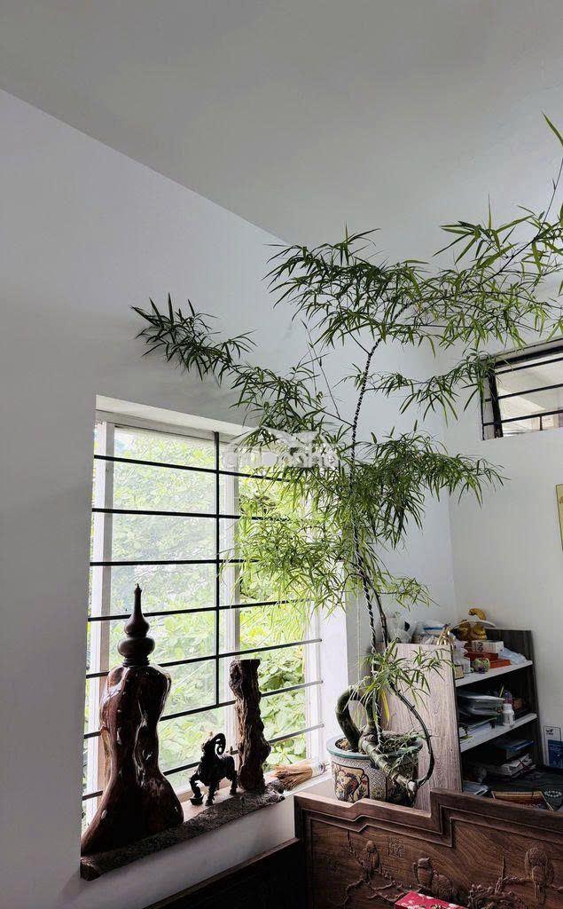 Cần cho thuê sư vạn hạnh- lầu 2 thang bộ - đủ nội thất. - Ảnh 2