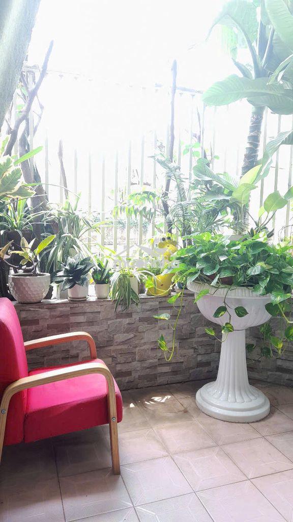 Chung cư trần quốc thảo,45m2, 2pn - p9, q3 - Ảnh 2
