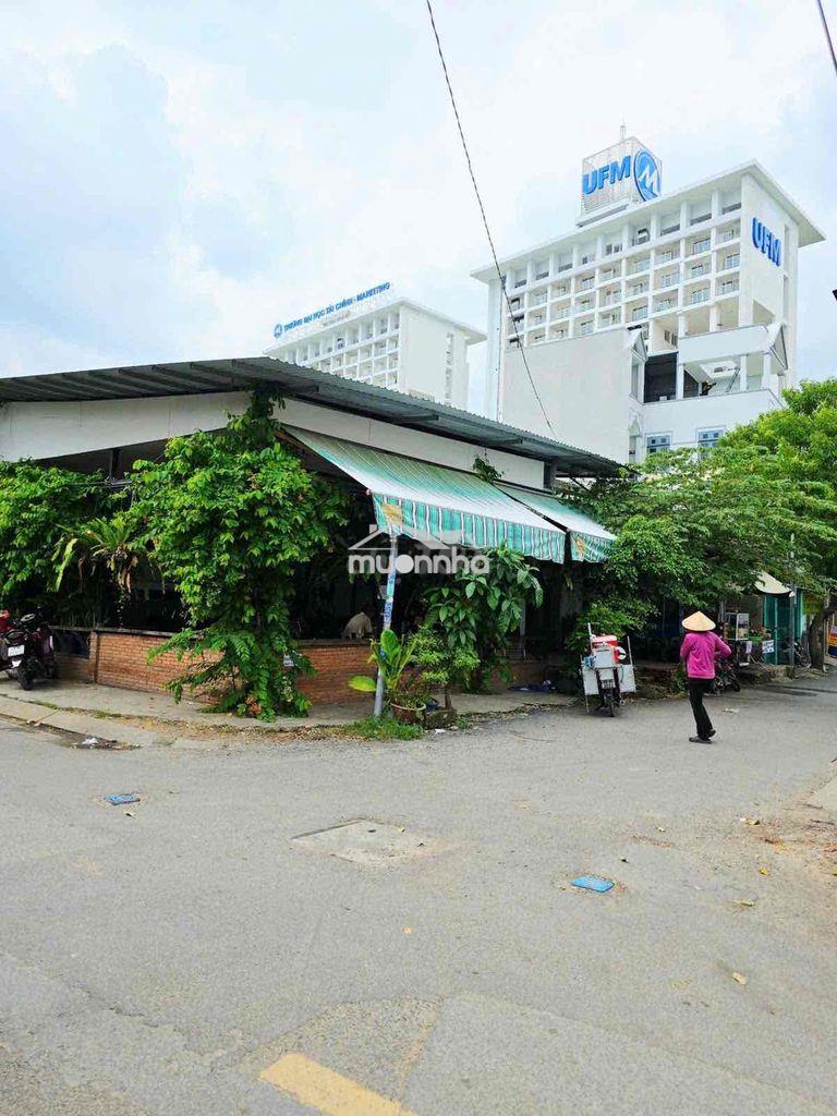 Ngộp bank 7tỷ giảm 4tỷ bán giá 8tỷ5 200m2 ngang 10m đường võ văn hát - Ảnh 4