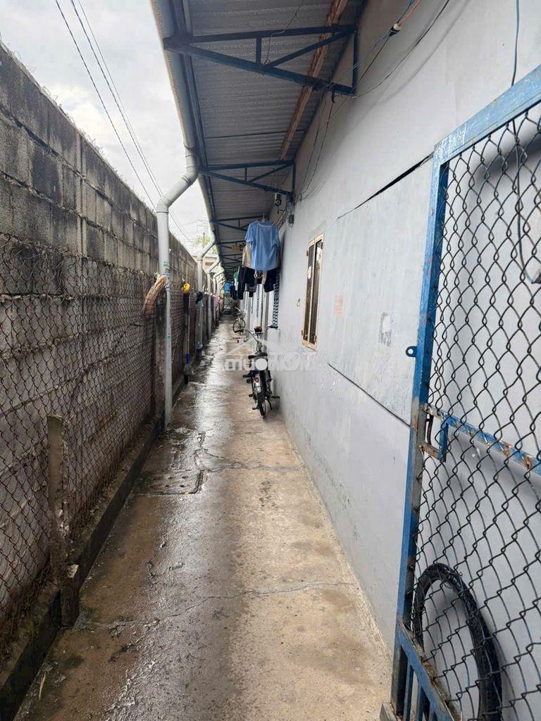Chủ ngộp cần bán trọ 288m2 12pn ngay x.tân thạnh đông củ chi giá 875tr - Ảnh 3